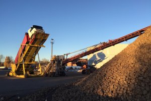 Буртоукладач "Комплекс 65М2Б3-К" (Білорусь)