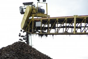 Буртоукладач "Ш1-ПКФ"