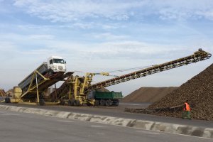 Буртоукладач "Ш1-ПСМ" (Білорусь)